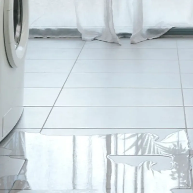 Appliance Leak Cleanup in Saint Mary Parish, LA